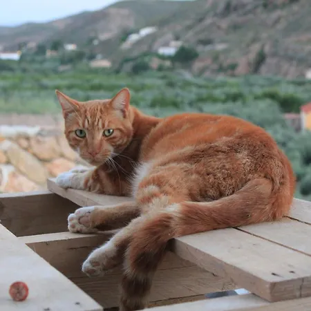 Rojo - An With Shared Pool & Hot Tub With Stunning Views In * Oria